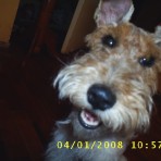 Monchi